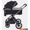 Детские коляски и аксессуары Rant Falcon RA098 (3 в 1, black)