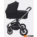 Детские коляски и аксессуары Rant Flex Pro RA074 2023 (2 в 1, черный)