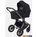 Детские коляски и аксессуары Rant Flex Pro RA074 2023 (2 в 1, черный) Детские коляски и аксессуары Rant Flex Pro RA074 2023 (2 в 1, черный)