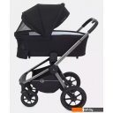 Детские коляски и аксессуары Rant Flex Pro RA074 2023 (2 в 1, черный)