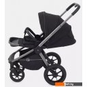 Детские коляски и аксессуары Rant Flex Pro RA074 2023 (2 в 1, черный)
