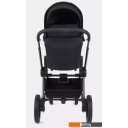 Детские коляски и аксессуары Rant Flex Pro RA074 2023 (2 в 1, черный)