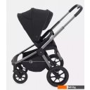 Детские коляски и аксессуары Rant Flex Pro RA074 2023 (2 в 1, черный)