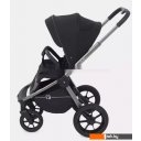 Детские коляски и аксессуары Rant Flex Pro RA074 2023 (2 в 1, черный)