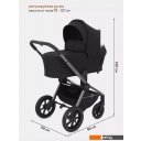Детские коляски и аксессуары Rant Flex Pro RA074 2023 (2 в 1, черный)