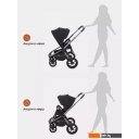 Детские коляски и аксессуары Rant Flex Pro RA074 2023 (2 в 1, черный)