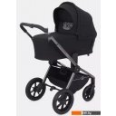 Детские коляски и аксессуары Rant Flex Pro RA074 2023 (2 в 1, черный)