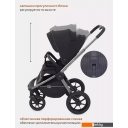 Детские коляски и аксессуары Rant Flex Pro RA074 2023 (2 в 1, черный)