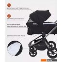 Детские коляски и аксессуары Rant Flex Pro RA074 2023 (2 в 1, черный)