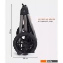Детские коляски и аксессуары Rant Flex Pro RA074 2023 (2 в 1, черный)