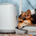 Миски, поилки, кормушки для животных Petoneer Nutri Feeder 179657