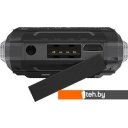 Мобильные телефоны Maxvi T100 (черный)