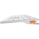 Клавиатуры A4Tech Fstyler FBX50C (серебристый/белый)