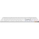 Клавиатуры A4Tech Fstyler FBX50C (серебристый/белый)