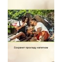 Автохолодильники, термобоксы, термосумки Miru 9040 28.5л (серый/зеленый)