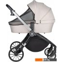 Детские коляски и аксессуары Farfello Baby Shell 2023 BBS-003 (3 в 1, кофейный)