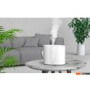 Увлажнители воздуха AirInCom AC5501