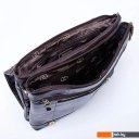 Женские и мужские сумки Francesco Molinary 846-1202-DBW (коричневый)