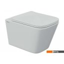 Унитазы Berges Wasserhaus Floe S Rimless 043242 (с сиденьем)