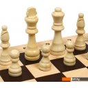Шахматы, шашки, нарды Sima-Land Турнирные 2879454