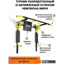 Силовые тренажеры Absolute champion Триумф Pro (черный/желтый)