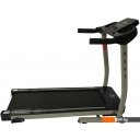 Беговые дорожки DFC Lavita T350