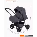 Детские коляски и аксессуары Rant Basic Riva PW 01 (2 в 1, graphite) Детские коляски и аксессуары Rant Basic Riva PW 01 (2 в 1, graphite)