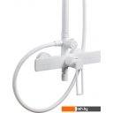 Душевые системы и гарнитуры Maxonor Pure Life PL2496-8 Душевые системы и гарнитуры Maxonor Pure Life PL2496-8