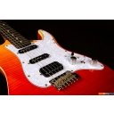 Гитары Jet JS-600 TRS