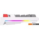 Клавиатуры Royal Kludge RK-R87 RGB (белый, RK Brown) Клавиатуры Royal Kludge RK-R87 RGB (белый, RK Brown)