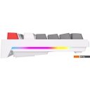 Клавиатуры Royal Kludge RK-R87 RGB (белый, RK Brown)