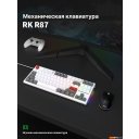 Клавиатуры Royal Kludge RK-R87 RGB (белый, RK Brown)