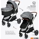 Детские коляски и аксессуары Tomix Sunny 619C (3 в 1, grey)