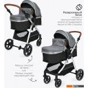 Детские коляски и аксессуары Tomix Sunny 619C (3 в 1, grey)