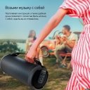 Беспроводные и портативные колонки Digma D-PS1520 (черный)
