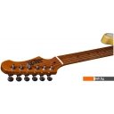Гитары Jet JT-300 BTS Гитары Jet JT-300 BTS
