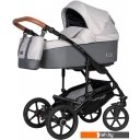 Детские коляски и аксессуары Riko Basic Bella Life (2 в 1, 01, grey fox) Детские коляски и аксессуары Riko Basic Bella Life (2 в 1, 01, grey fox)