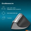 Мыши Оклик 991MW (черный)