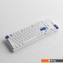 Клавиатуры Akko 3098N Blue & White (TTC Honey)