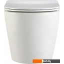 Унитазы Triton Pro Tornado Verso TR-VO-1832