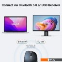 Мыши Ugreen MU101 15807