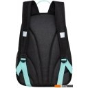 Рюкзаки Grizzly RG-463-1 (черный/мятный)