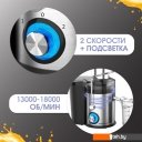 Соковыжималки Zigmund & Shtain EJ-756 Соковыжималки Zigmund & Shtain EJ-756