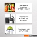 Соковыжималки Zigmund & Shtain EJ-756 Соковыжималки Zigmund & Shtain EJ-756