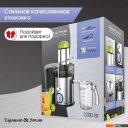Соковыжималки Zigmund & Shtain EJ-756