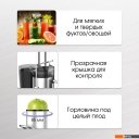 Соковыжималки Zigmund & Shtain EJ-756