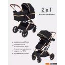 Детские коляски и аксессуары Rant Basic Pulsar Gold RA160 (2 в 1, black) Детские коляски и аксессуары Rant Basic Pulsar Gold RA160 (2 в 1, black)