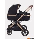Детские коляски и аксессуары Rant Basic Pulsar Gold RA160 (2 в 1, black) Детские коляски и аксессуары Rant Basic Pulsar Gold RA160 (2 в 1, black)