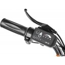 Электровелосипеды MyWay Trike 500 20 (17, графитовый матовый) Электровелосипеды MyWay Trike 500 20 (17, графитовый матовый)