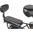 Электровелосипеды MyWay Truck 1.0 350 20 (15, черный)